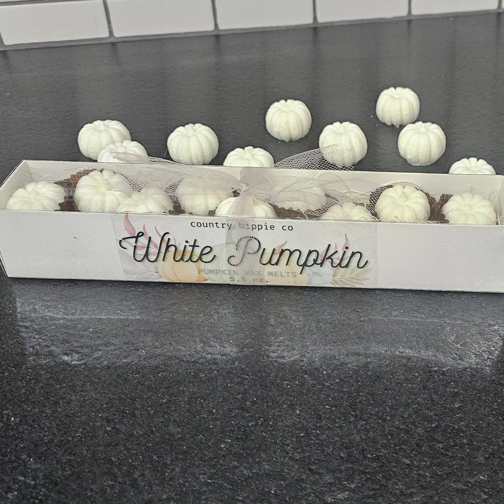 White Pumpkin + Amber Vegetable Wax Melts Box