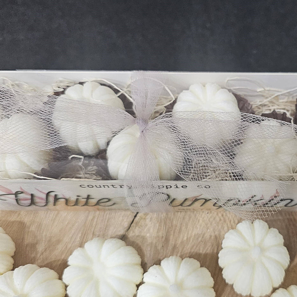 White Pumpkin + Amber Vegetable Wax Melts Box